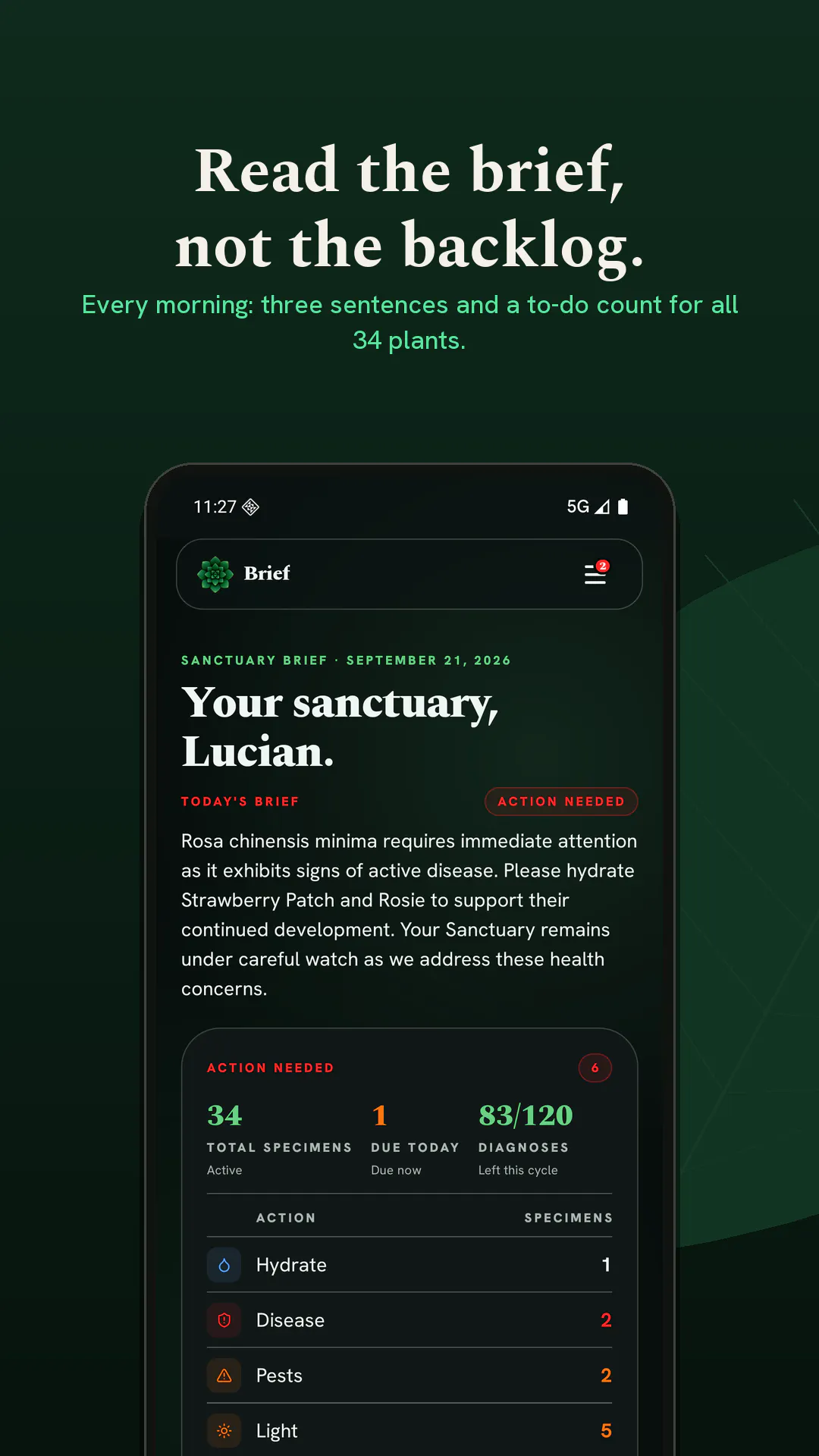 Botanical Legacy gallery image