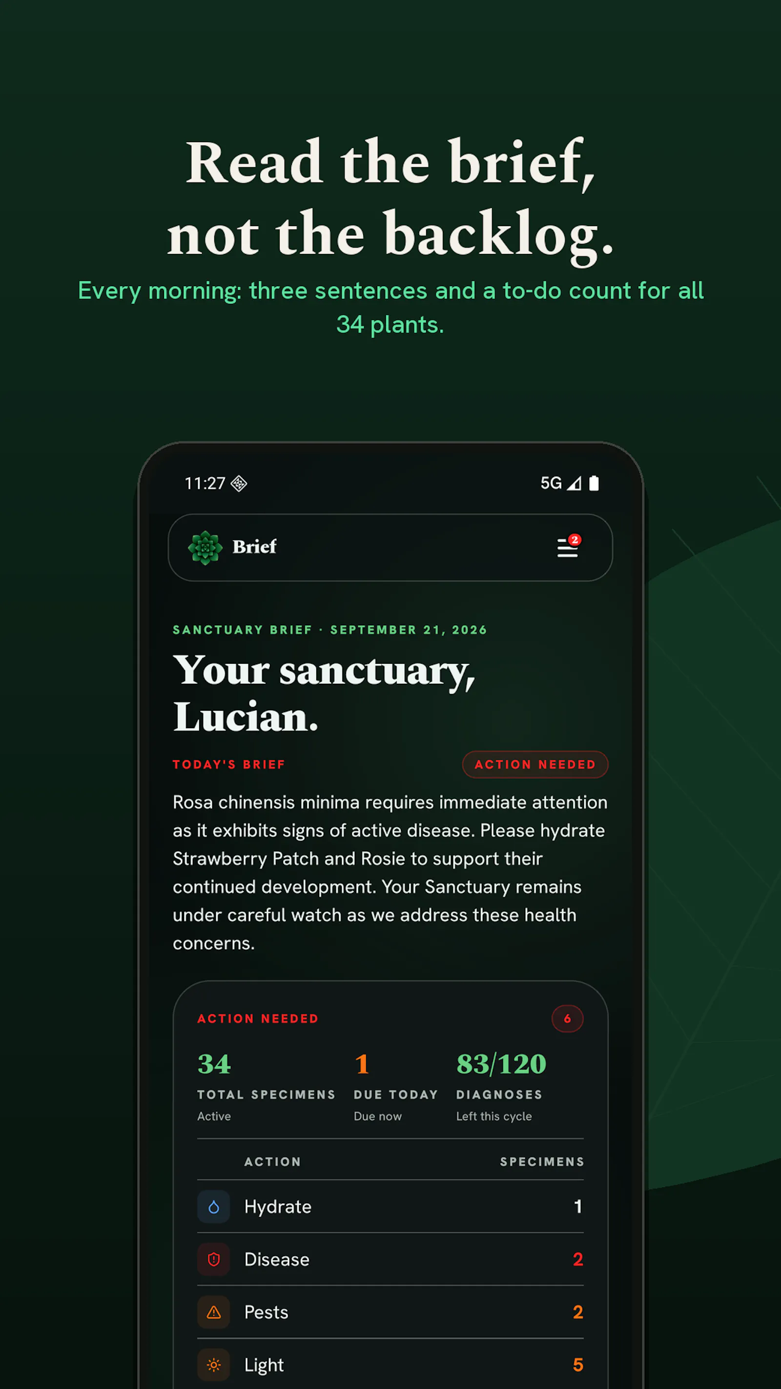 Botanical Legacy screenshot 13