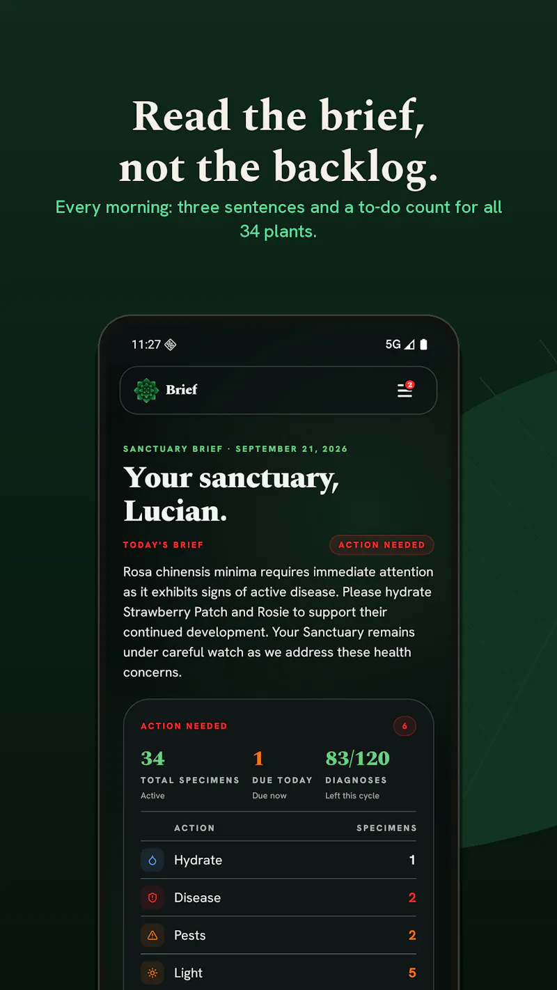 Botanical Legacy screenshot 13