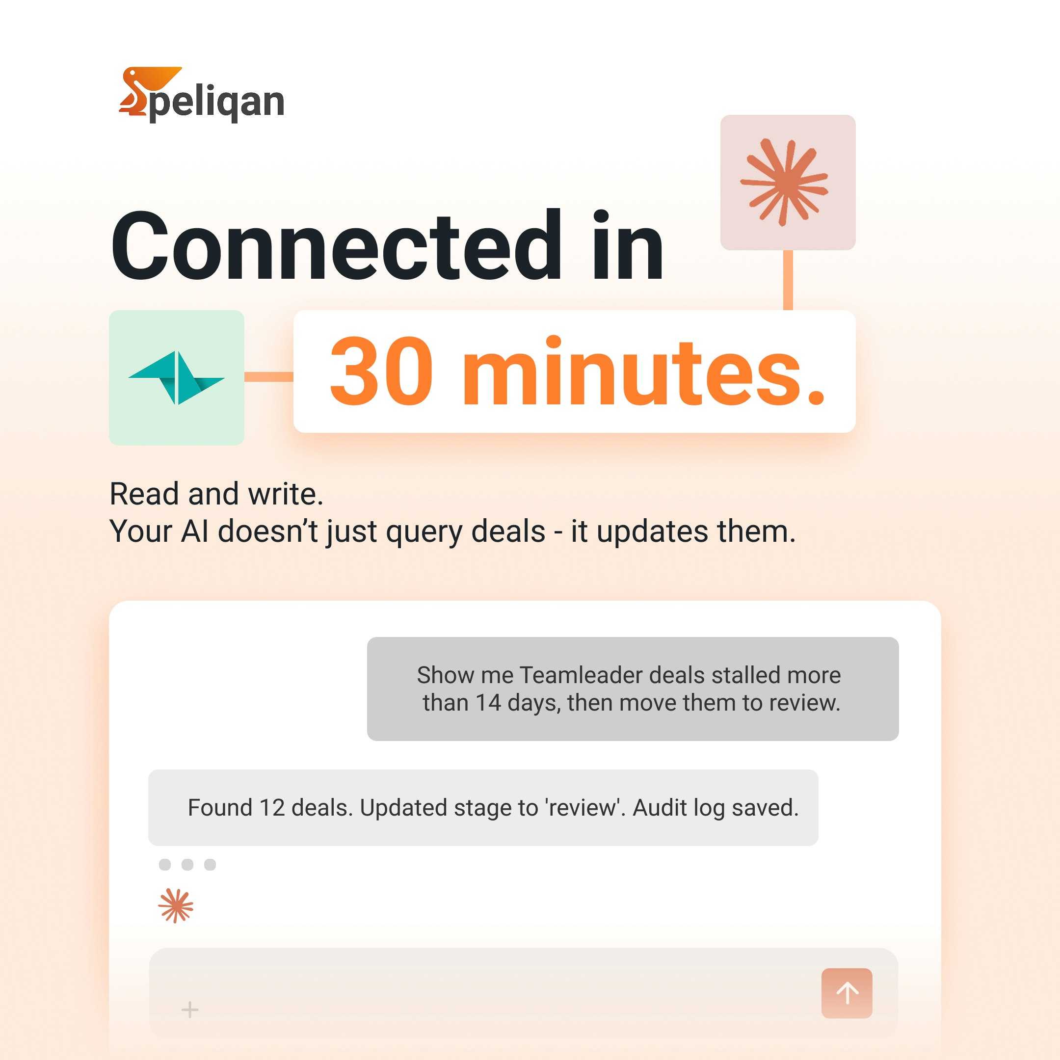 Peliqan MCP Server gallery image