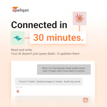 Peliqan MCP Server gallery image
