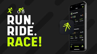 Forrest gallery image