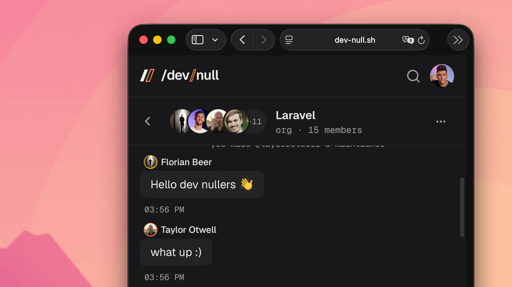 /dev/null gallery image