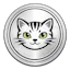 Coin Kitty Personal Finance Tracking App