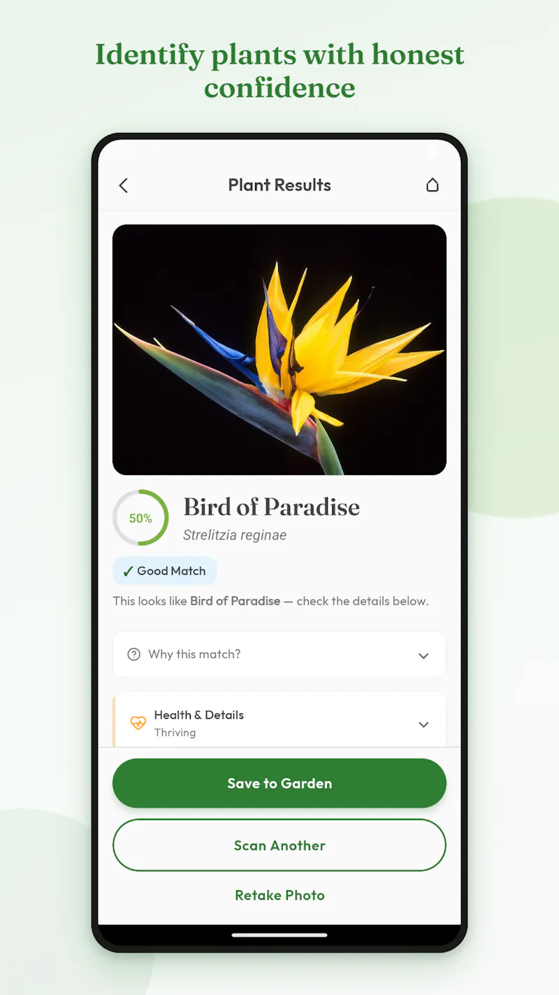 Raychis screenshot 5
