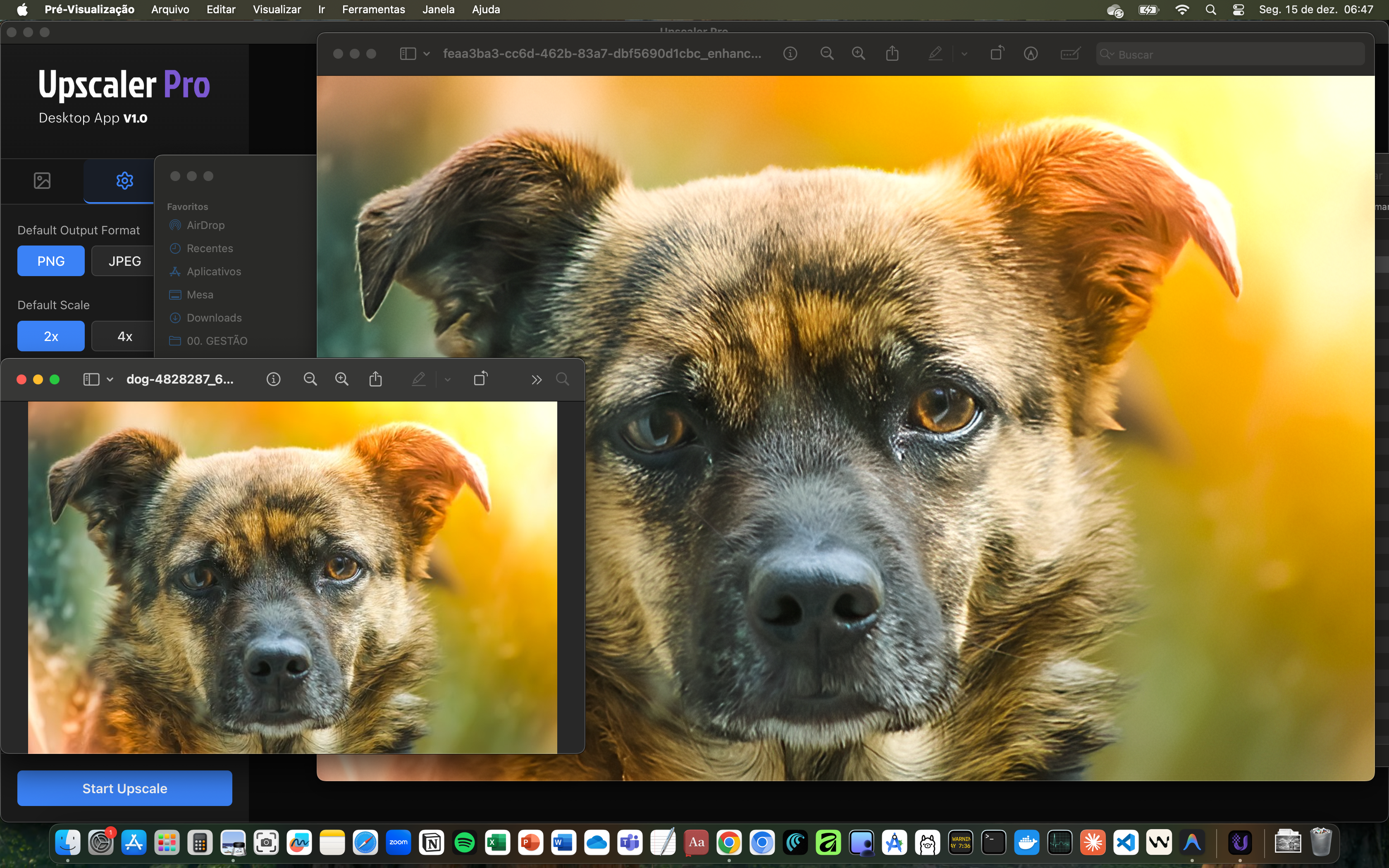 UpscalerPro - AI upscaling desktop app - Screenshot 3 showing product features and functionality