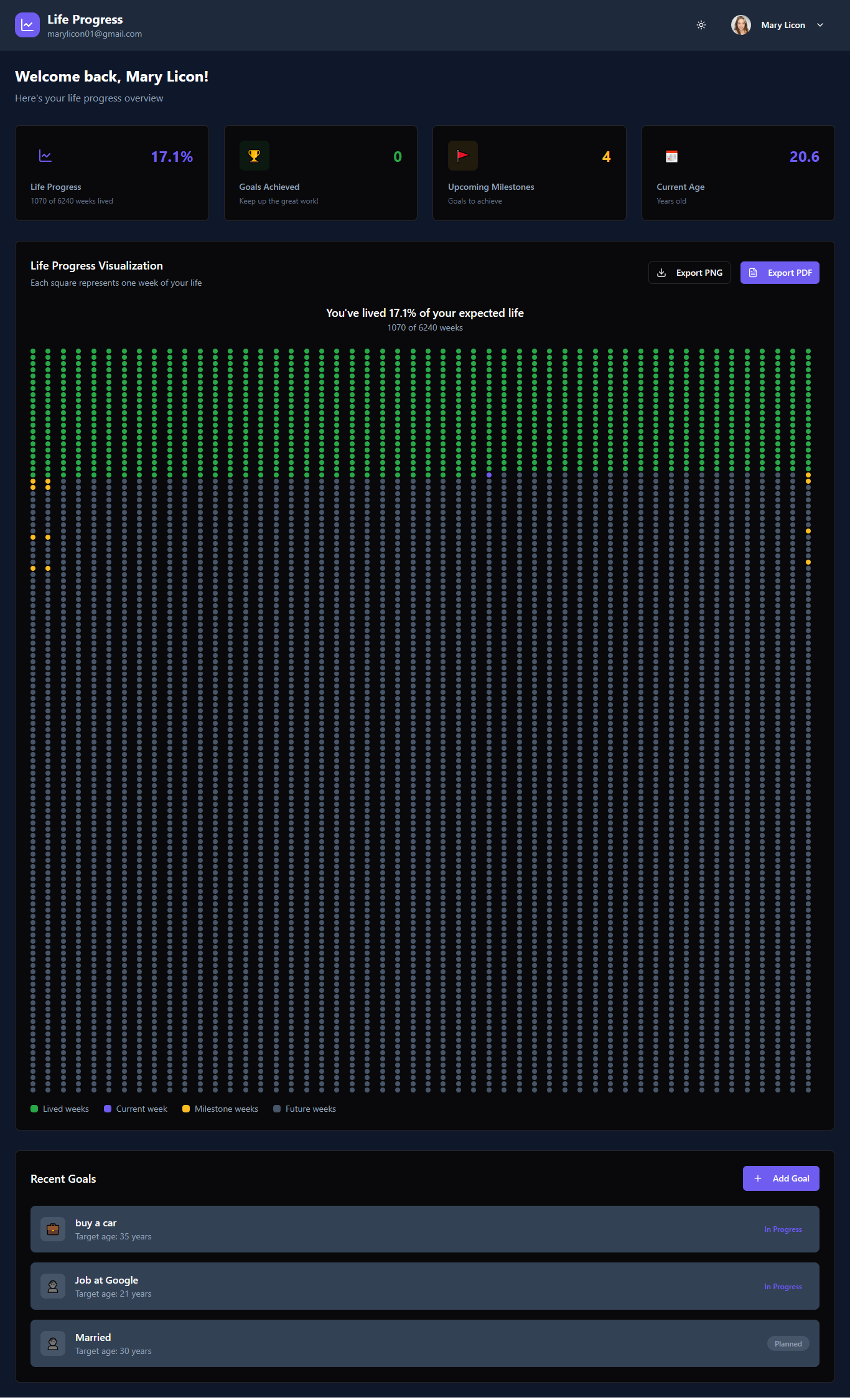 Life Progress Tracker gallery image