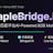 MapleBridge.io