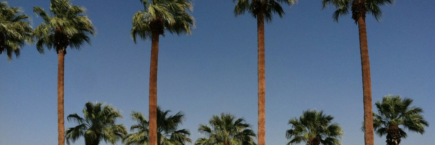 Bethany Stachenfeld cover