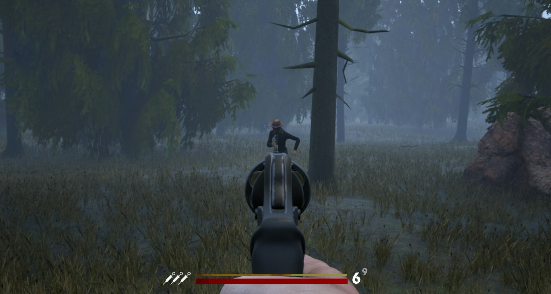 Wild West Z gallery image