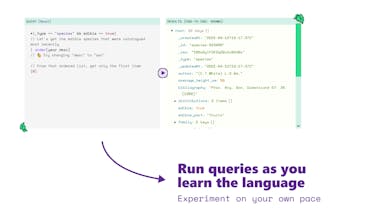 Learn GROQ gallery image
