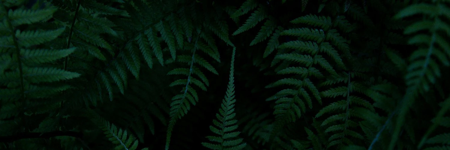 Alex Shelepenok cover