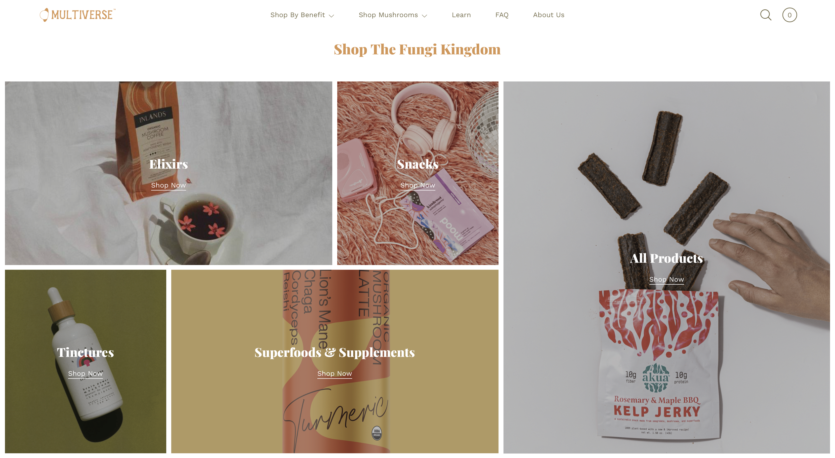 The Multiverse gallery image