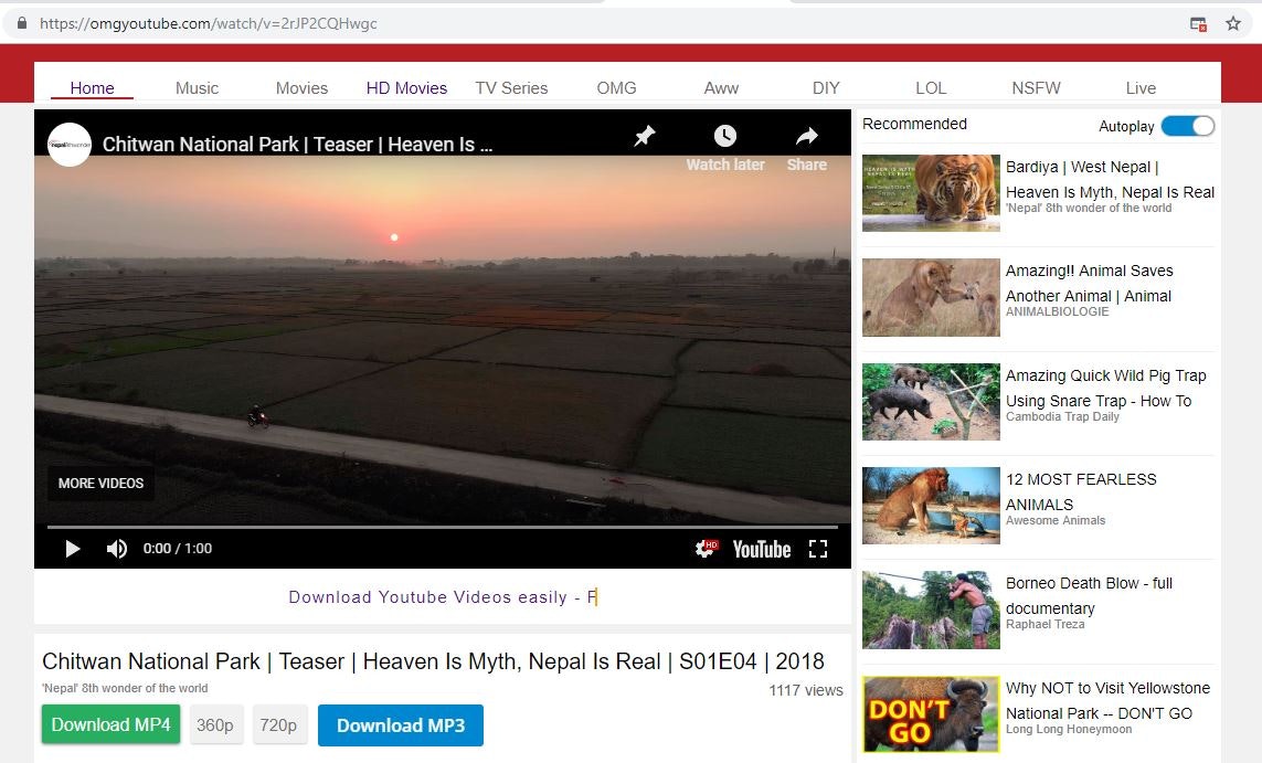 OMG Youtube gallery image