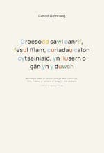 Learn Welsh in 10 days gallery image