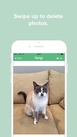 Purrge gallery image