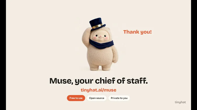 Tinyhat screenshot 1 (video preview)