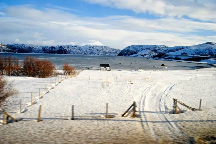 Bernardo Duque Carreira cover