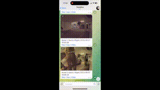Alertes vidéo instantanées de votre Tesla media 4