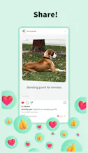 PhotoFlipz App - Memories in Motion gallery image