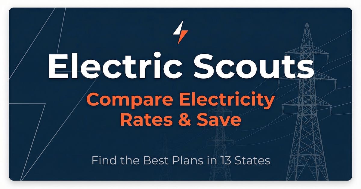 Electric Scouts gallery image