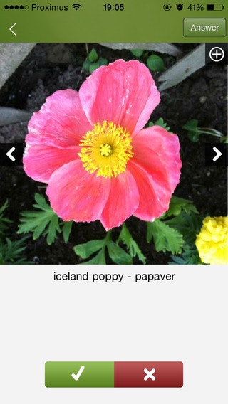 Plantifier gallery image