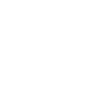 Daily Flow logo