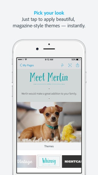 Adobe Spark Page gallery image