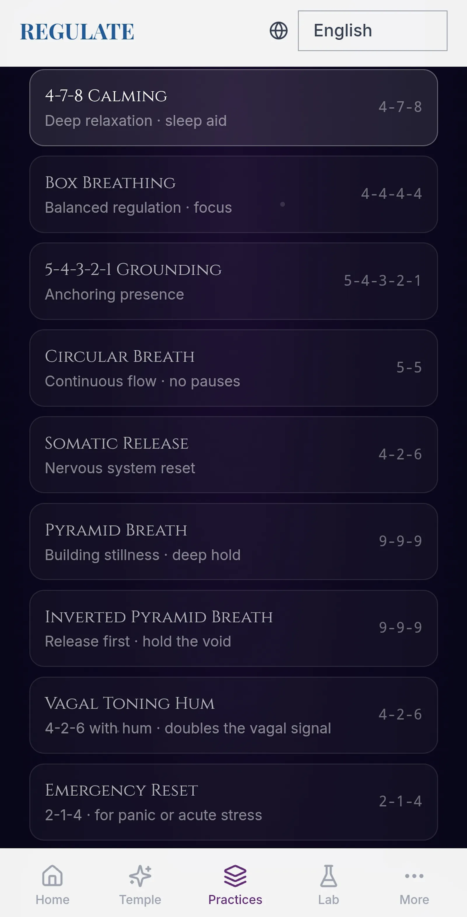 REGULATE screenshot 3
