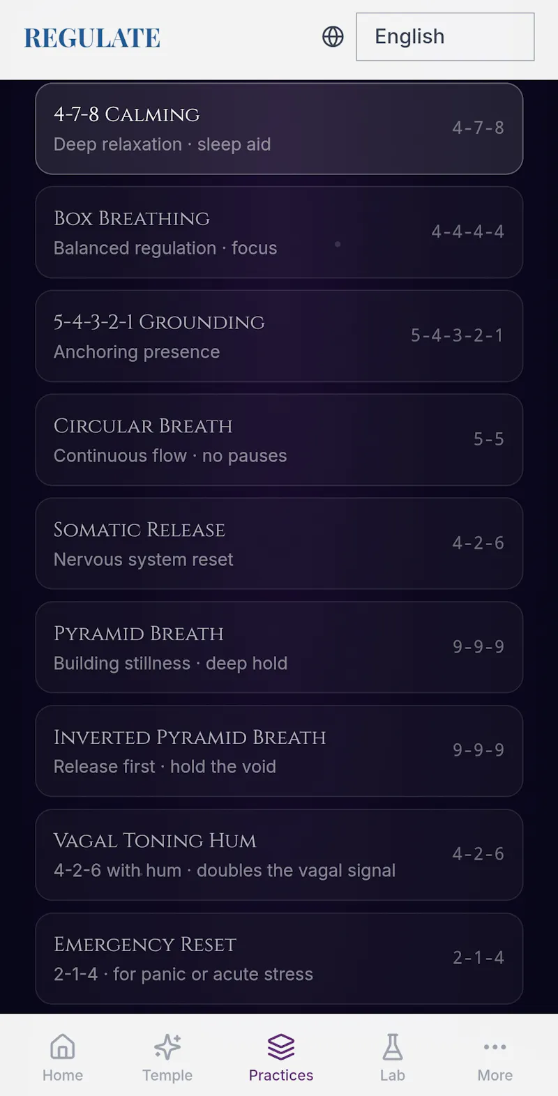REGULATE screenshot 3