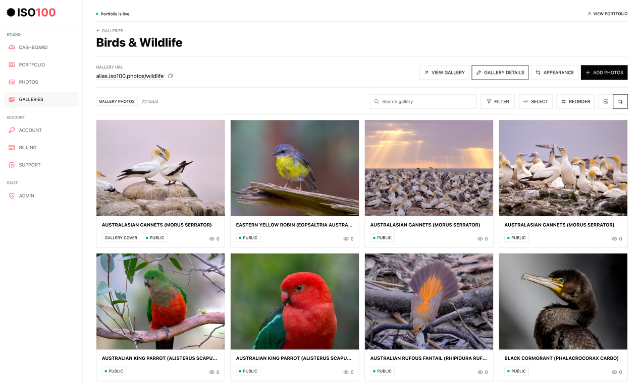 ISO100 gallery image