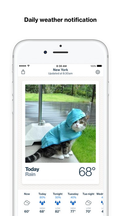 Basic Weather Image