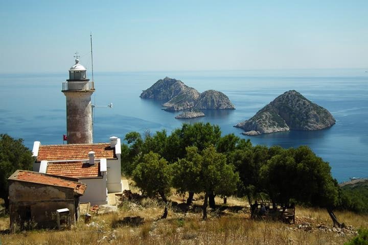 Aktivido gallery image