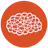 Deep Learning Gallery