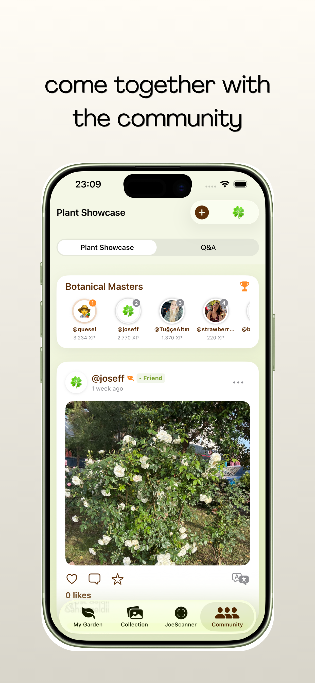 plantjoe - identify and take care plants gallery image