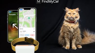 НайдиМоюКошку трекер для домашних животных с долговечным аккумулятором, обеспечивающим до 6 месяцев использования.