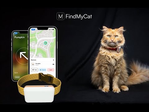 startuptile FindMyCat-Months long battery no subscription