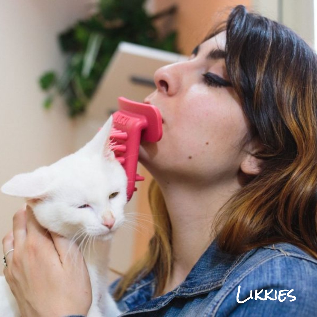 Likkies Brush gallery image