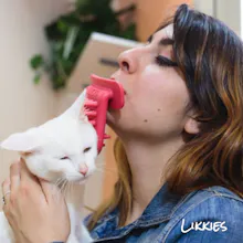 Likkies Brush gallery image