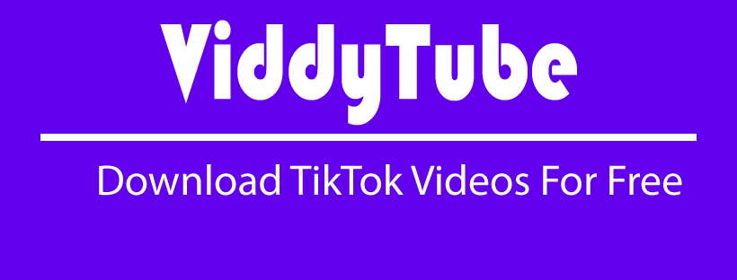 ViddyTube gallery image