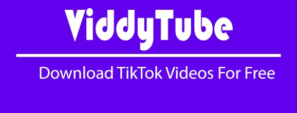 ViddyTube gallery image
