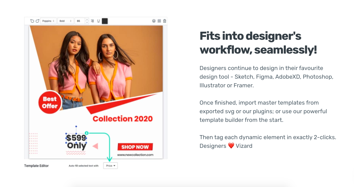 Vizard Studio gallery image