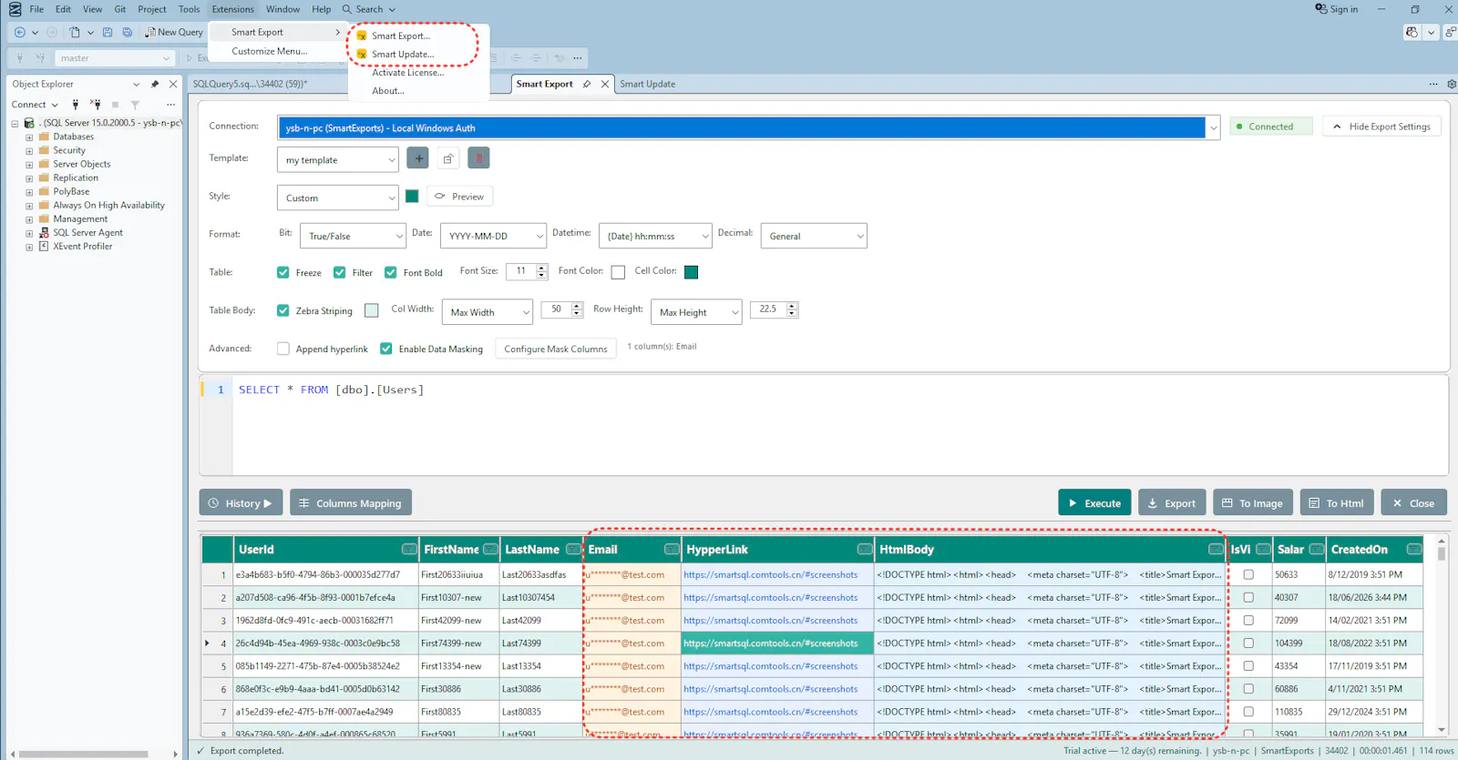 SSMS SQL Editor & Export Tool screenshot 3
