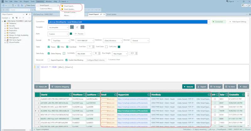 SSMS SQL Editor & Export Tool screenshot 3