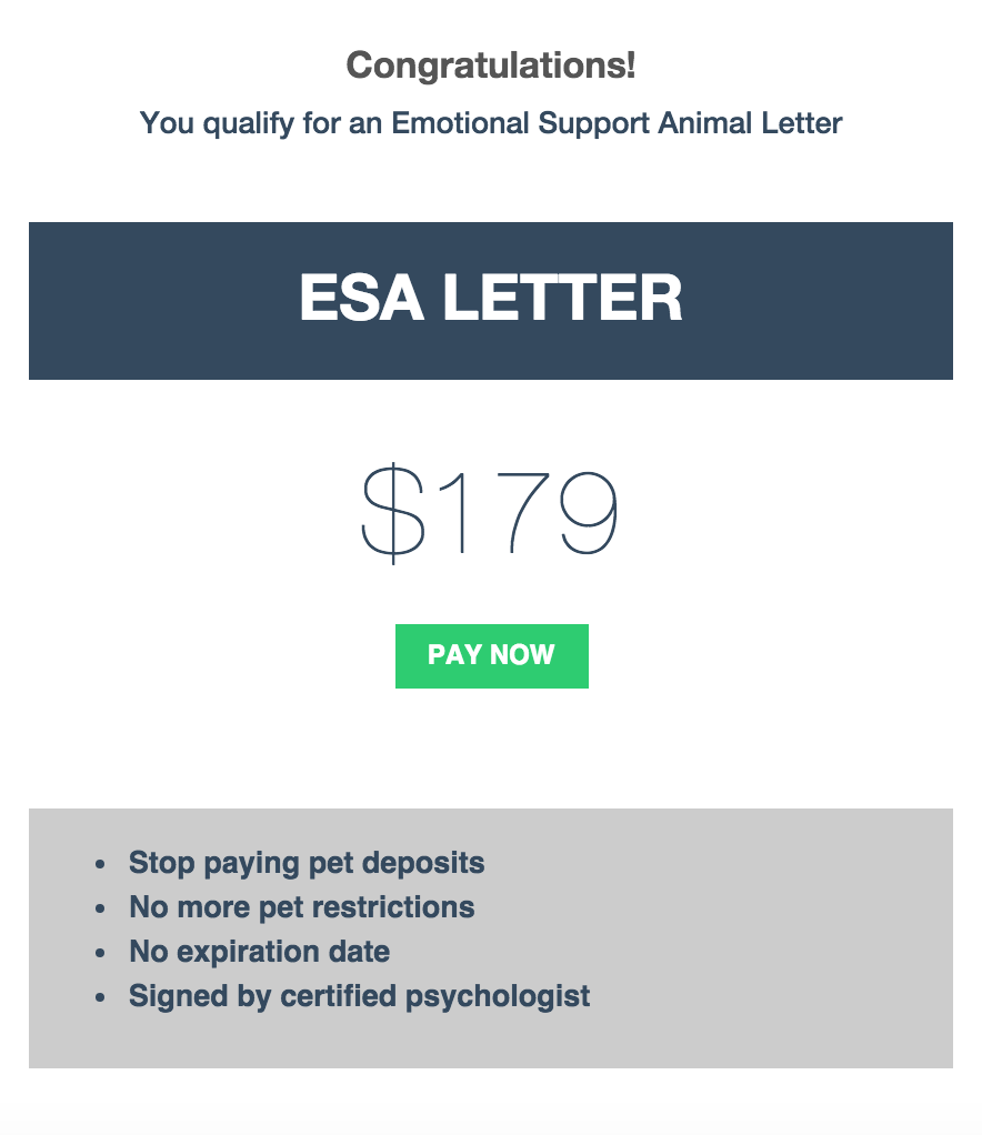 Animal Companions gallery image