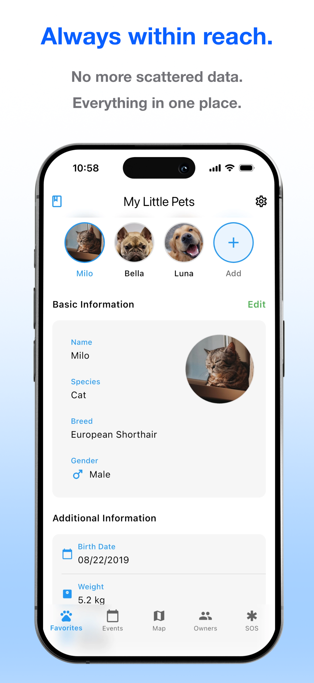 Little Pet gallery image