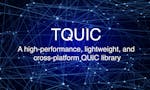 tquic_client image