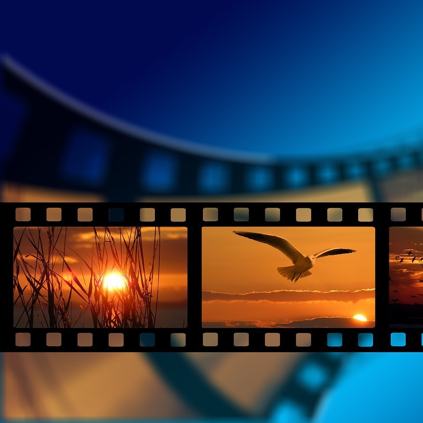 Pixabay 2.0 gallery image