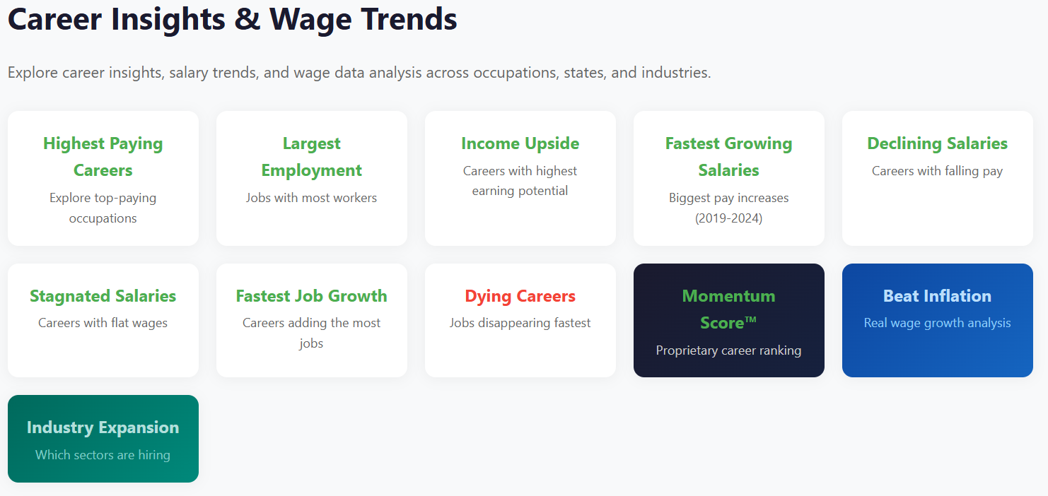 WageVista - Screenshot 4 showing product features and functionality