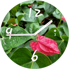 Stock Watch Face gallery image